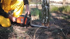 Best Soil Testing and Treatment  in Port Washington, NY